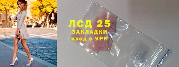 гашик Бородино