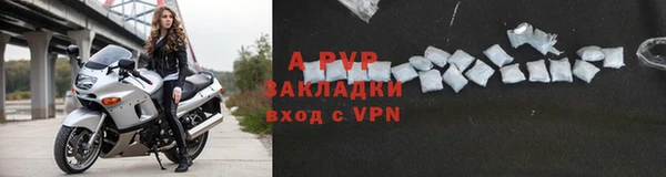 гидра Вяземский