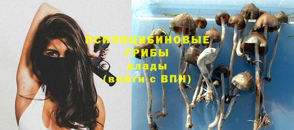 СК Волоколамск