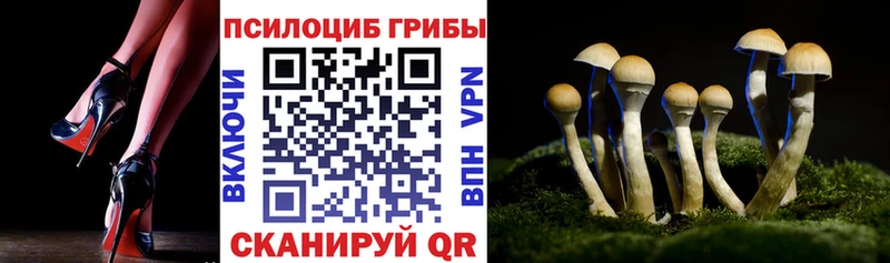 Галлюциногенные грибы ЛСД  где купить   Жуков 